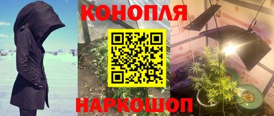 каннабис Гусиноозёрск