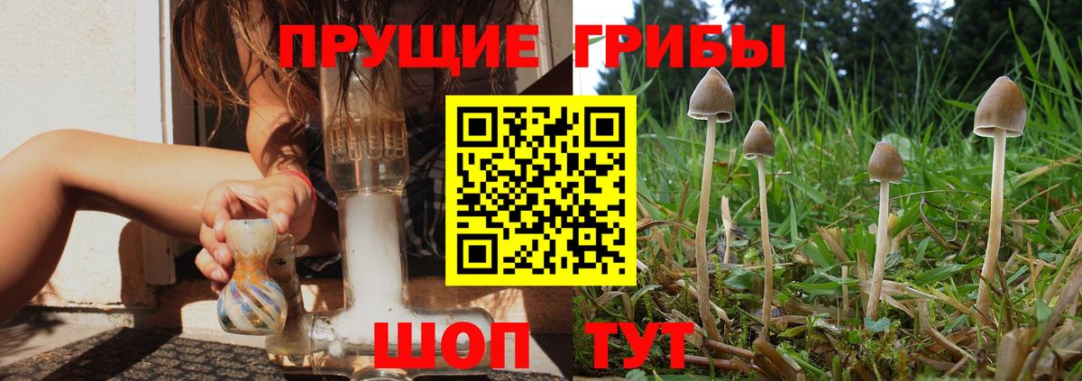 Галлюциногенные грибы мицелий Добрянка
