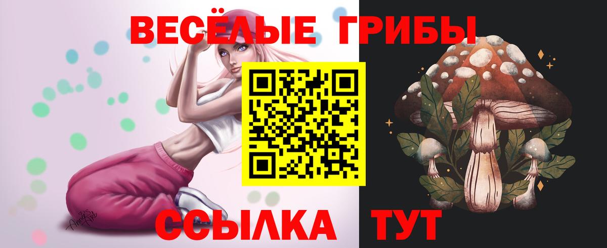 Добрянка  Псилоцибиновые грибы прущие грибы  Вход с VPN 
